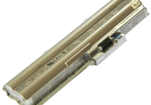 VGP-BPS12